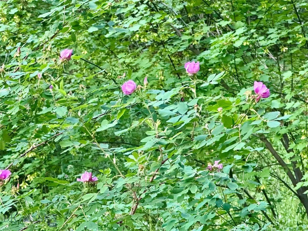 Lot 31 Tbd Round Pole Drive, Three Forks, Montana, Three Forks, Montana 59752, ,Land,For Sale,Lot 31 Tbd Round Pole Drive, Three Forks, Montana ,403907