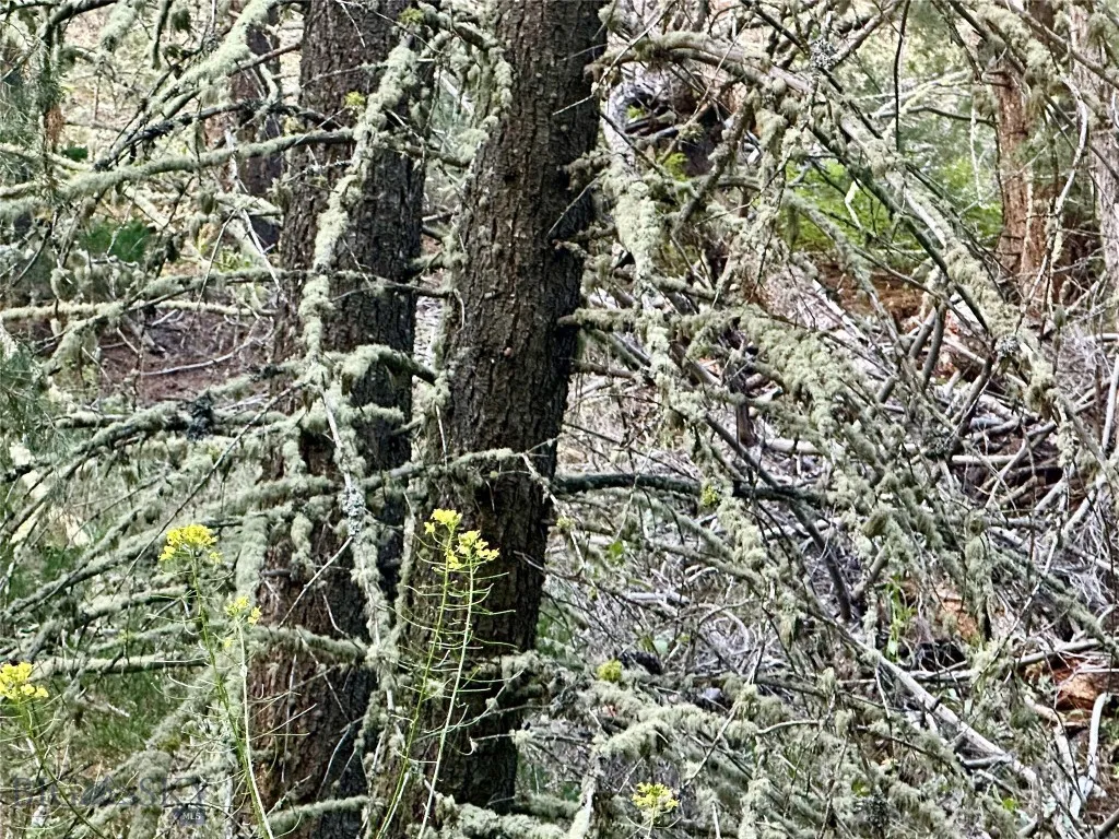 Lot 31 Tbd Round Pole Drive, Three Forks, Montana, Three Forks, Montana 59752, ,Land,For Sale,Lot 31 Tbd Round Pole Drive, Three Forks, Montana ,403907