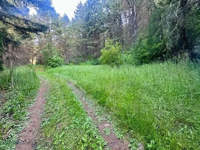 Lot 31 Tbd Round Pole Drive, Three Forks, Montana, Three Forks, Montana 59752, ,Land,For Sale,Lot 31 Tbd Round Pole Drive, Three Forks, Montana ,403907