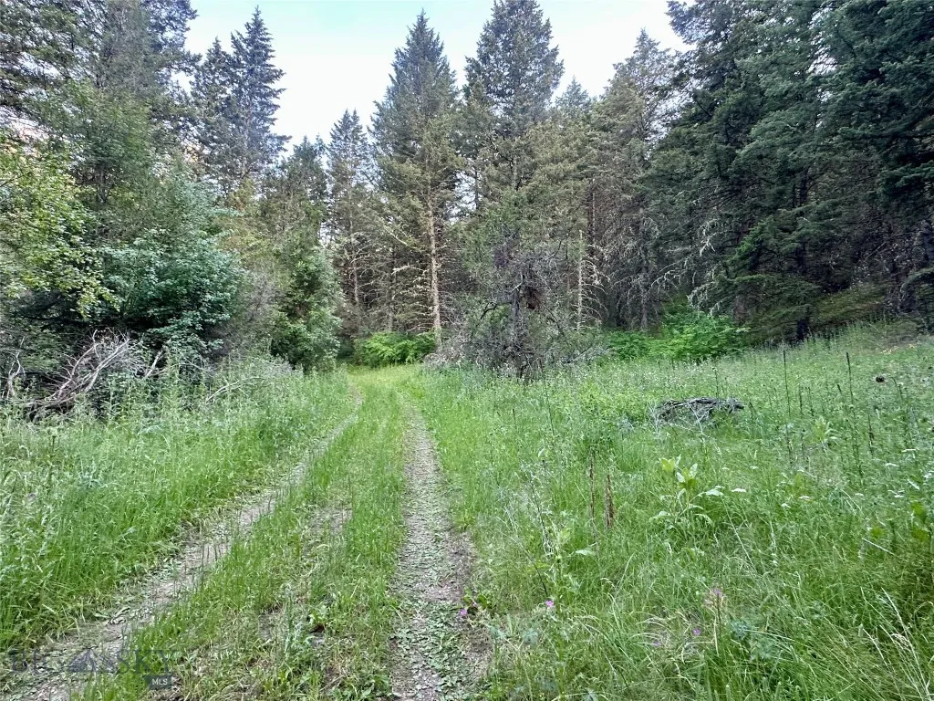 Lot 31 Tbd Round Pole Drive, Three Forks, Montana, Three Forks, Montana 59752, ,Land,For Sale,Lot 31 Tbd Round Pole Drive, Three Forks, Montana ,403907
