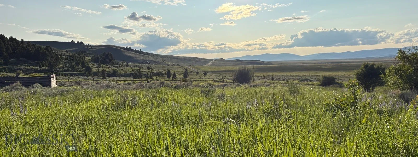 Tbd South Valley Road, Dell, Montana 59724, Dell, Montana 59724, ,Land,For Sale,Tbd South Valley Road, Dell, Montana 59724,0,403920