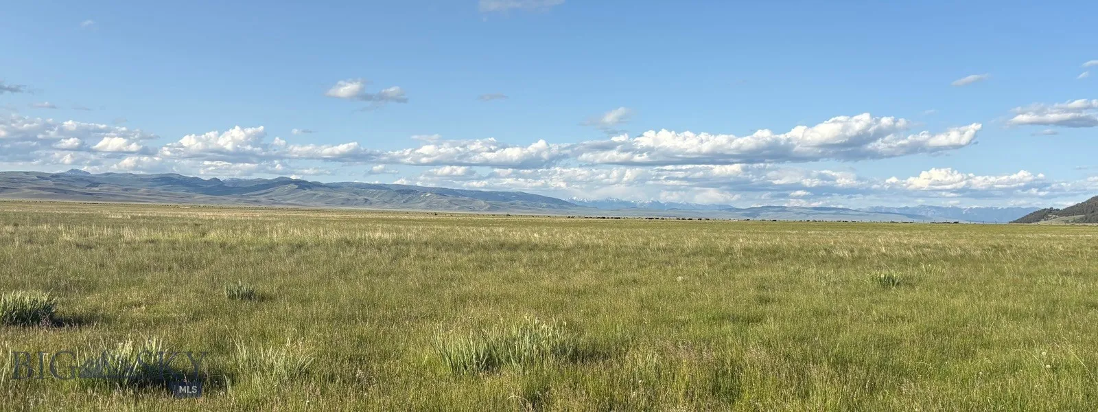 Tbd South Valley Road, Dell, Montana 59724, Dell, Montana 59724, ,Land,For Sale,Tbd South Valley Road, Dell, Montana 59724,0,403920
