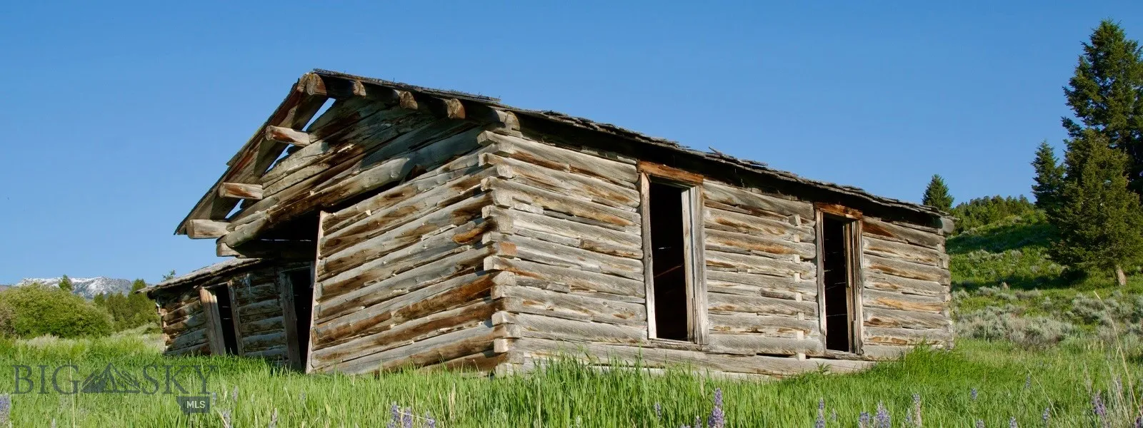 Tbd South Valley Road, Dell, Montana 59724, Dell, Montana 59724, ,Land,For Sale,Tbd South Valley Road, Dell, Montana 59724,0,403920