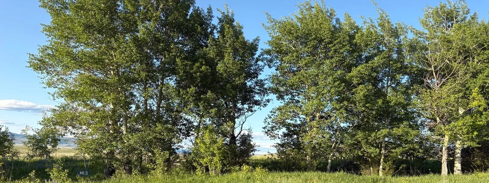 Tbd South Valley Road, Dell, Montana 59724, Dell, Montana 59724, ,Land,For Sale,Tbd South Valley Road, Dell, Montana 59724,0,403920