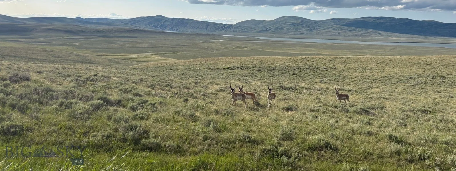 Tbd South Valley Road, Dell, Montana 59724, Dell, Montana 59724, ,Land,For Sale,Tbd South Valley Road, Dell, Montana 59724,0,403920