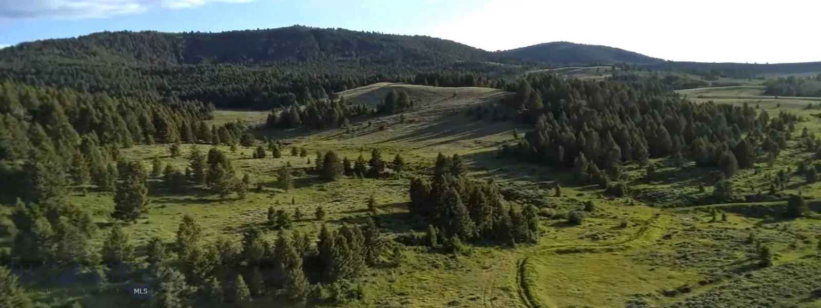 Tbd South Valley Road, Dell, Montana 59724, Dell, Montana 59724, ,Land,For Sale,Tbd South Valley Road, Dell, Montana 59724,0,403920