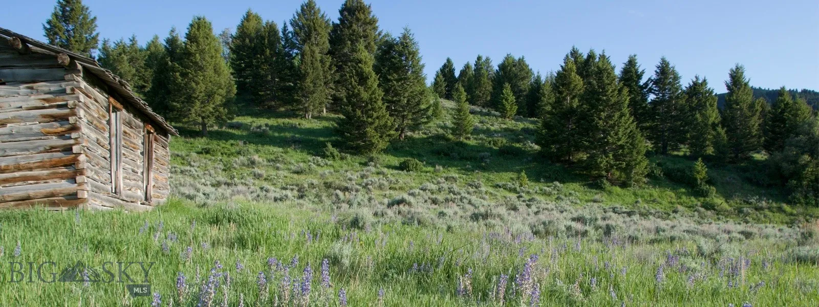 Tbd South Valley Road, Dell, Montana 59724, Dell, Montana 59724, ,Land,For Sale,Tbd South Valley Road, Dell, Montana 59724,0,403920