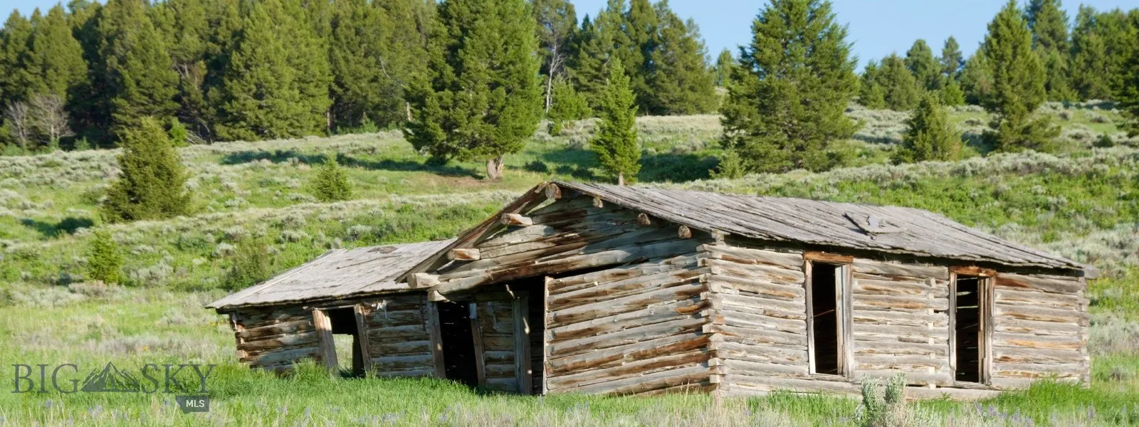 Tbd South Valley Road, Dell, Montana 59724, Dell, Montana 59724, ,Land,For Sale,Tbd South Valley Road, Dell, Montana 59724,0,403920