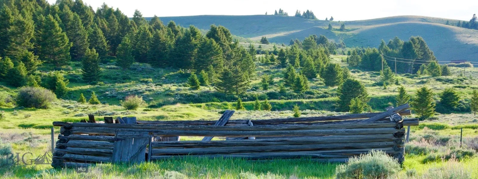 Tbd South Valley Road, Dell, Montana 59724, Dell, Montana 59724, ,Land,For Sale,Tbd South Valley Road, Dell, Montana 59724,0,403920