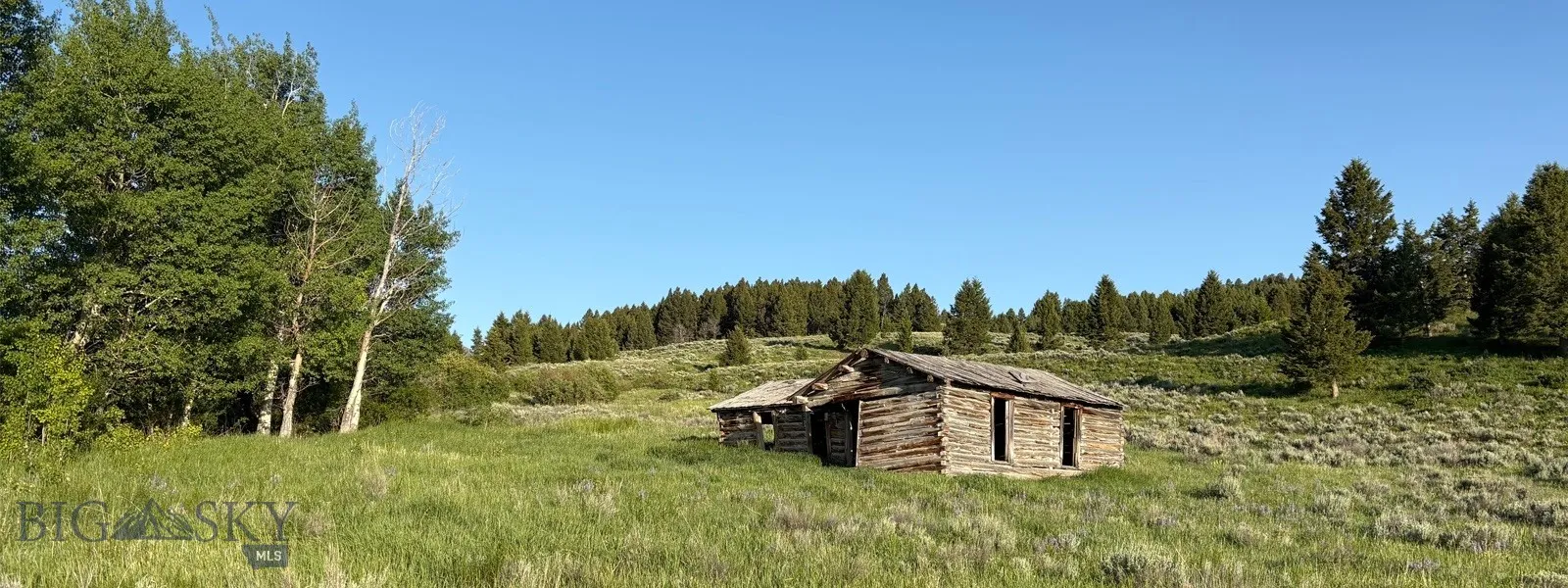 Tbd South Valley Road, Dell, Montana 59724, Dell, Montana 59724, ,Land,For Sale,Tbd South Valley Road, Dell, Montana 59724,0,403920