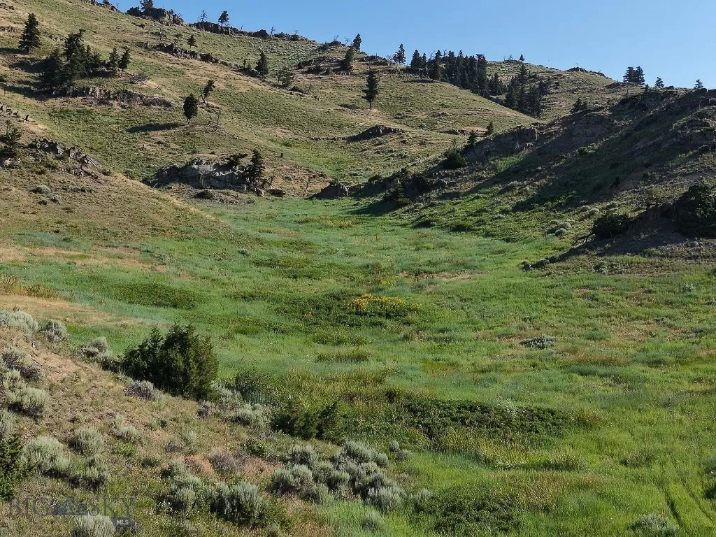 Tbd O'rea Creek Road (parcel 5), Livingston, Monta, Livingston, Montana 59047, ,Land,For Sale,Tbd O'rea Creek Road (parcel 5), Livingston, Monta,0,403931