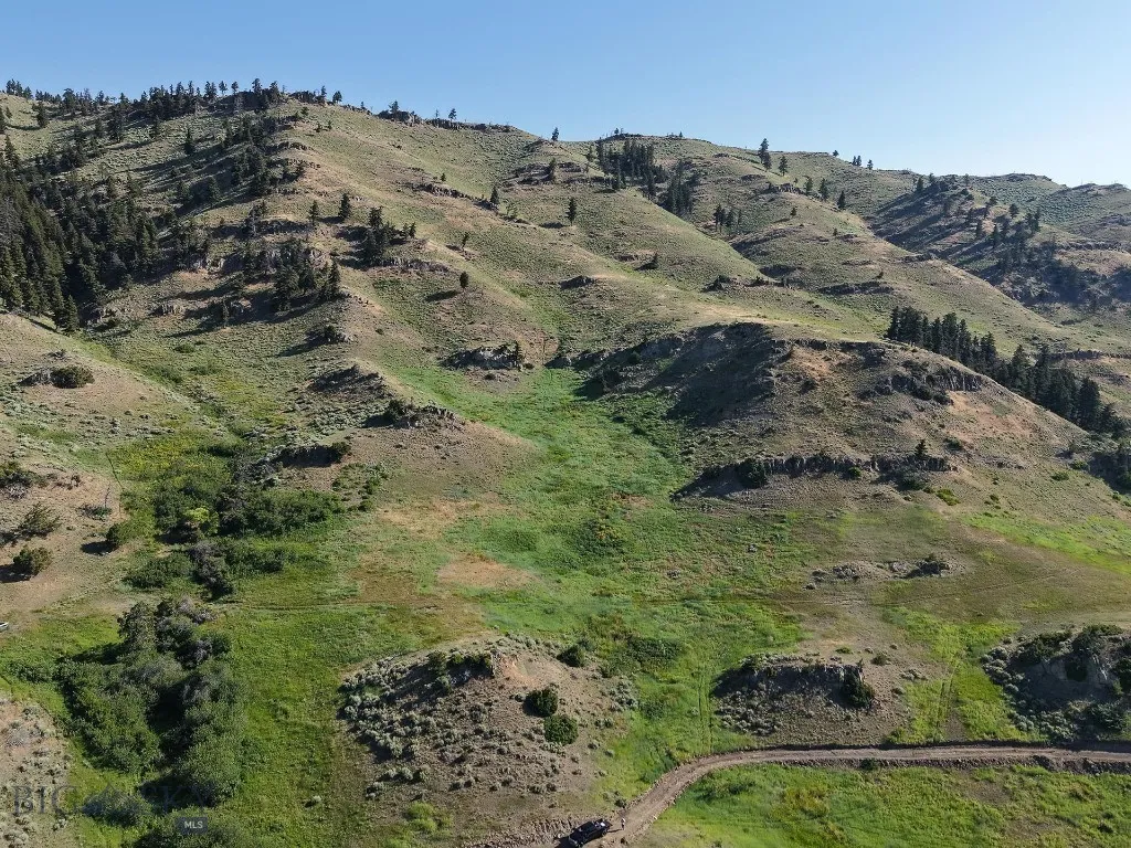 Tbd O'rea Creek Road (parcel 5), Livingston, Monta, Livingston, Montana 59047, ,Land,For Sale,Tbd O'rea Creek Road (parcel 5), Livingston, Monta,0,403931