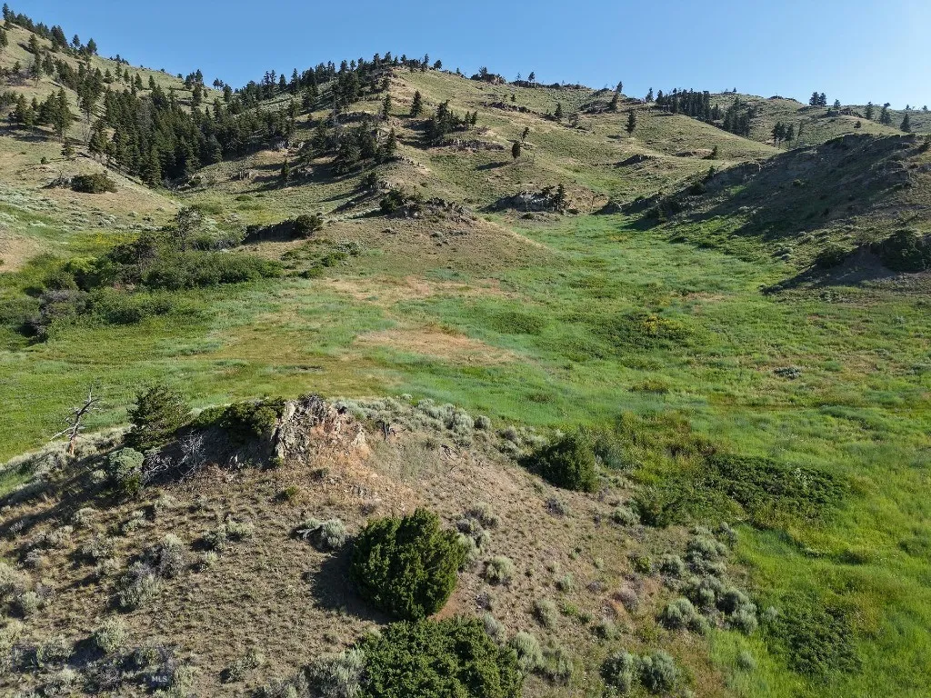 Tbd O'rea Creek Road (parcel 5), Livingston, Monta, Livingston, Montana 59047, ,Land,For Sale,Tbd O'rea Creek Road (parcel 5), Livingston, Monta,403931