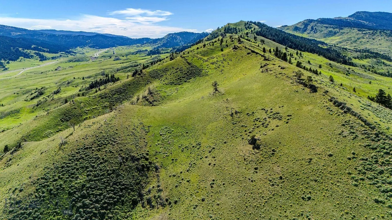Tbd O'rea Creek Road (parcel 5), Livingston, Monta, Livingston, Montana 59047, ,Land,For Sale,Tbd O'rea Creek Road (parcel 5), Livingston, Monta,0,403931