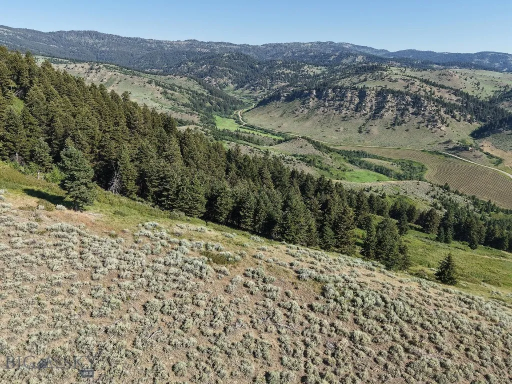 Tbd O'rea Creek Road (parcel 5), Livingston, Monta, Livingston, Montana 59047, ,Land,For Sale,Tbd O'rea Creek Road (parcel 5), Livingston, Monta,403931