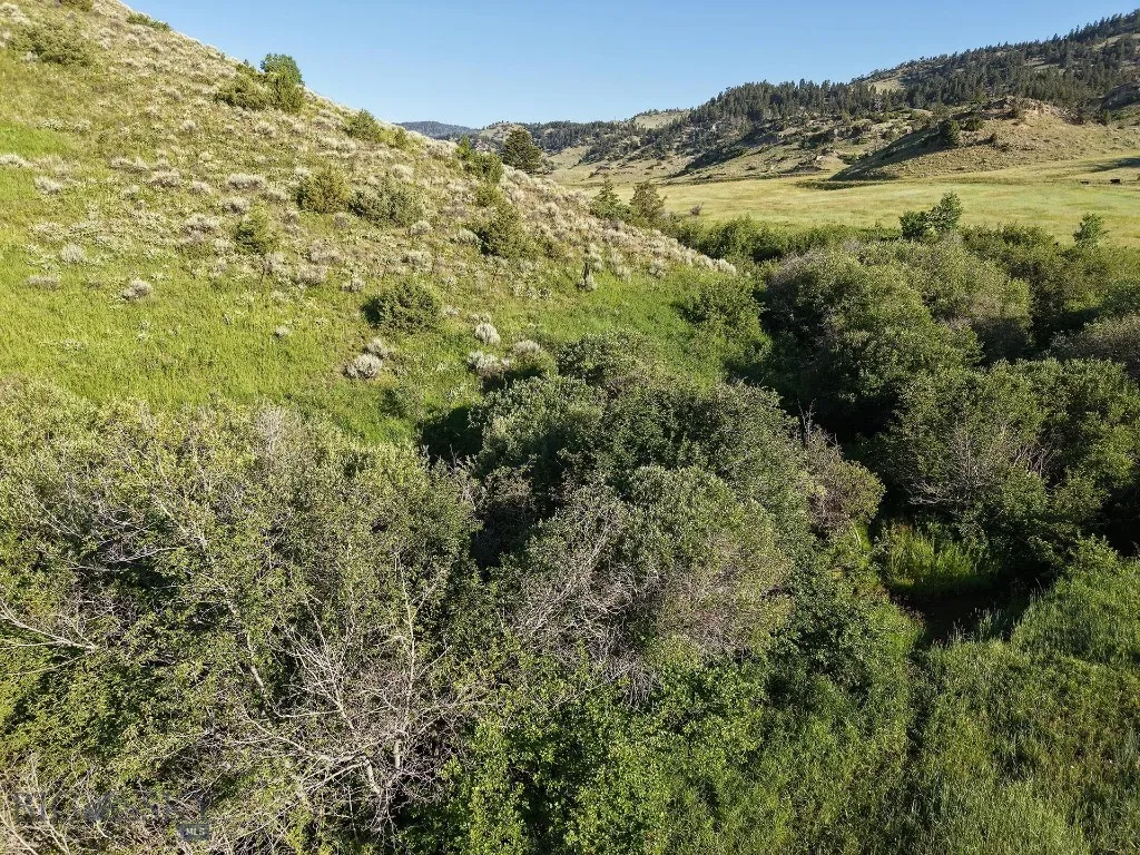 Tbd O'rea Creek Road (parcel 4), Livingston, Monta, Livingston, Montana 59047, ,Land,For Sale,Tbd O'rea Creek Road (parcel 4), Livingston, Monta,0,403932