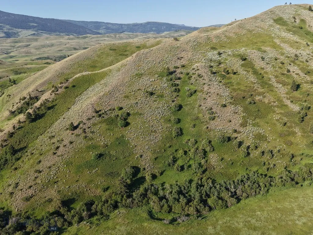 Tbd O'rea Creek Road (parcel 4), Livingston, Monta, Livingston, Montana 59047, ,Land,For Sale,Tbd O'rea Creek Road (parcel 4), Livingston, Monta,0,403932