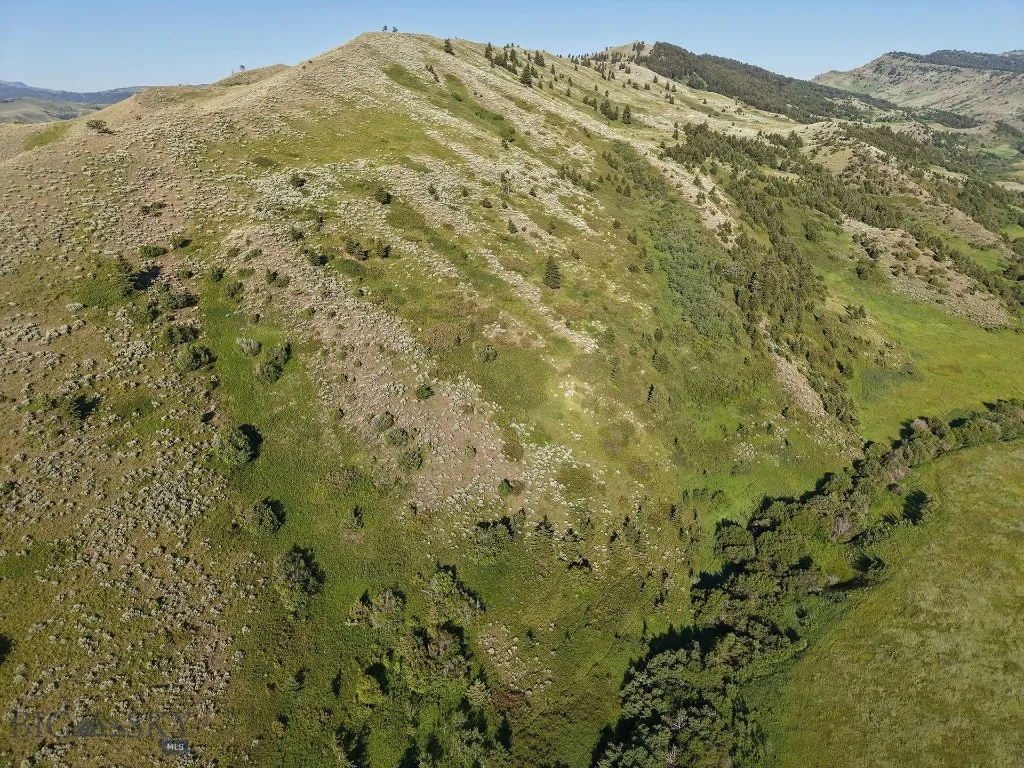 Tbd O'rea Creek Road (parcel 4), Livingston, Monta, Livingston, Montana 59047, ,Land,For Sale,Tbd O'rea Creek Road (parcel 4), Livingston, Monta,0,403932