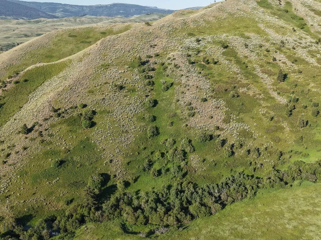 Tbd O'rea Creek Road (parcel 4), Livingston, Monta, Livingston, Montana 59047, ,Land,For Sale,Tbd O'rea Creek Road (parcel 4), Livingston, Monta,0,403932