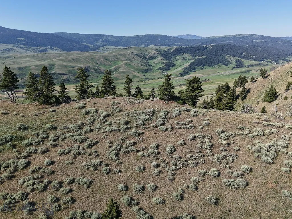 Tbd O'rea Creek Road (parcel 4), Livingston, Monta, Livingston, Montana 59047, ,Land,For Sale,Tbd O'rea Creek Road (parcel 4), Livingston, Monta,0,403932