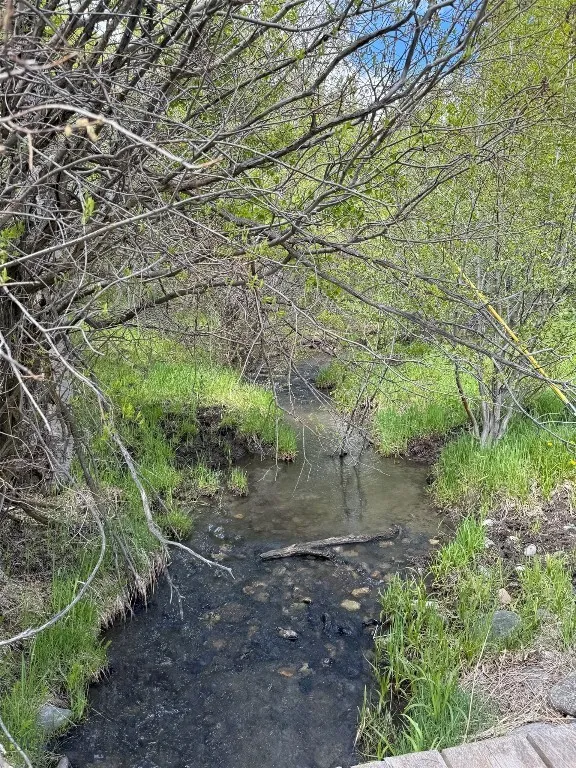 Tbd O'rea Creek Road (parcel 4), Livingston, Monta, Livingston, Montana 59047, ,Land,For Sale,Tbd O'rea Creek Road (parcel 4), Livingston, Monta,0,403934