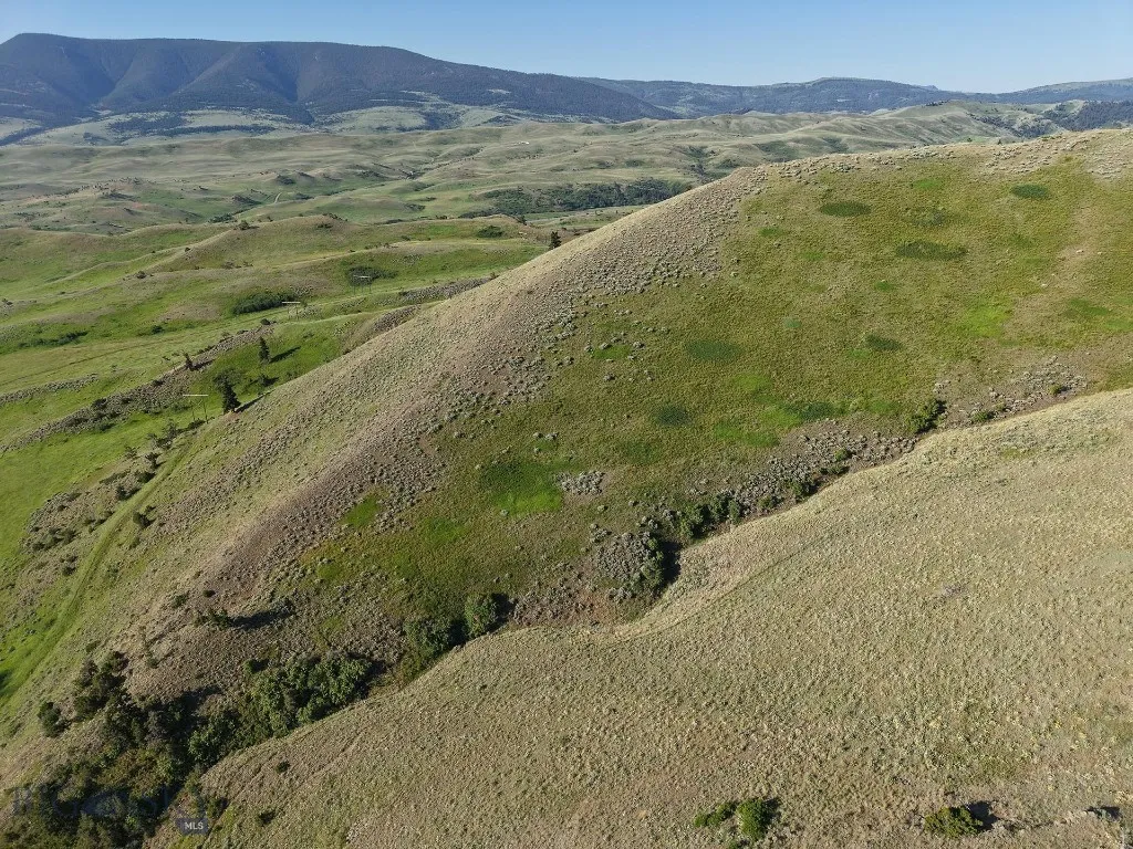 Tbd O'rea Creek Road (parcel 4), Livingston, Monta, Livingston, Montana 59047, ,Land,For Sale,Tbd O'rea Creek Road (parcel 4), Livingston, Monta,0,403934