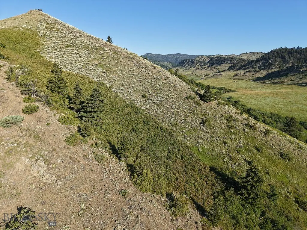 Tbd O'rea Creek Road (parcel 4), Livingston, Monta, Livingston, Montana 59047, ,Land,For Sale,Tbd O'rea Creek Road (parcel 4), Livingston, Monta,0,403934