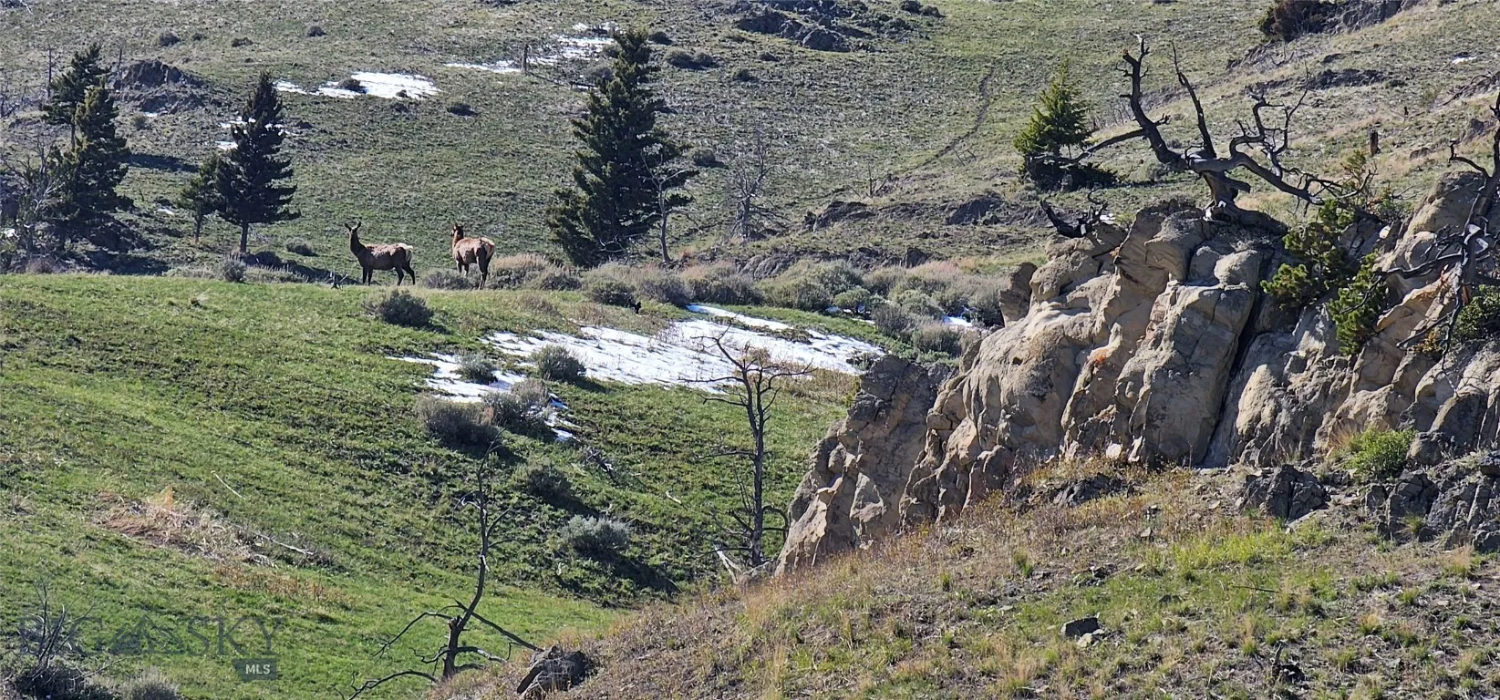 Tbd O'rea Creek Road (parcel 4), Livingston, Monta, Livingston, Montana 59047, ,Land,For Sale,Tbd O'rea Creek Road (parcel 4), Livingston, Monta,0,403934