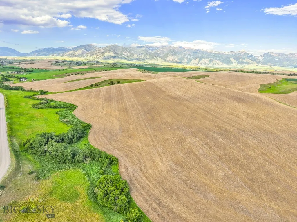 Nhn Foster Creek Road, Belgrade, Montana 59714, Belgrade, Montana 59714, ,Land,For Sale,Nhn Foster Creek Road, Belgrade, Montana 59714,0,403914