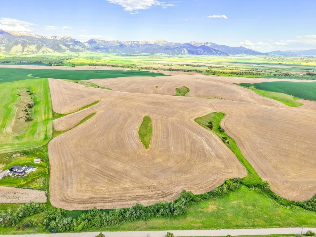 Nhn Foster Creek Road, Belgrade, Montana 59714, Belgrade, Montana 59714, ,Land,For Sale,Nhn Foster Creek Road, Belgrade, Montana 59714,0,403914