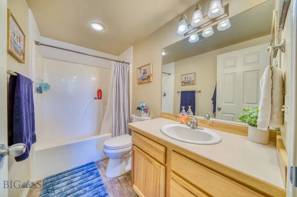 Full Guest Bathroom