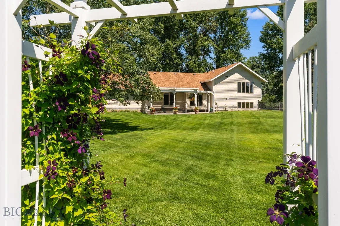 Clematis Arbor.