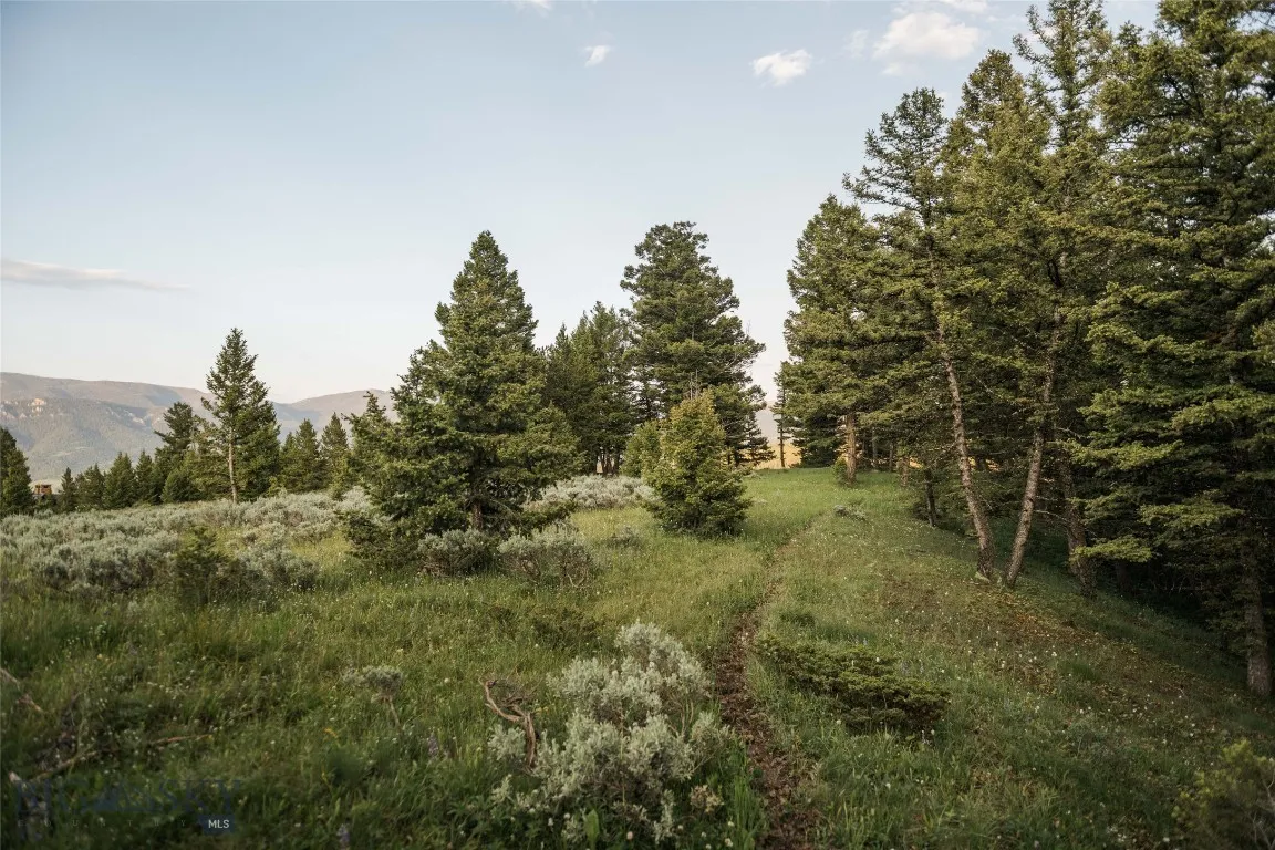 Lot 20 Charles Russell Loop, Big Sky, Montana 5971, Big Sky, Montana 59716, ,Land,For Sale,Lot 20 Charles Russell Loop, Big Sky, Montana 5971,0,404007