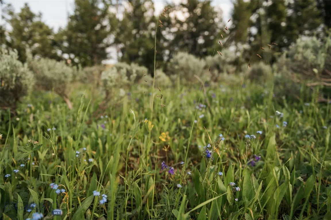 Lot 20 Charles Russell Loop, Big Sky, Montana 5971, Big Sky, Montana 59716, ,Land,For Sale,Lot 20 Charles Russell Loop, Big Sky, Montana 5971,0,404007