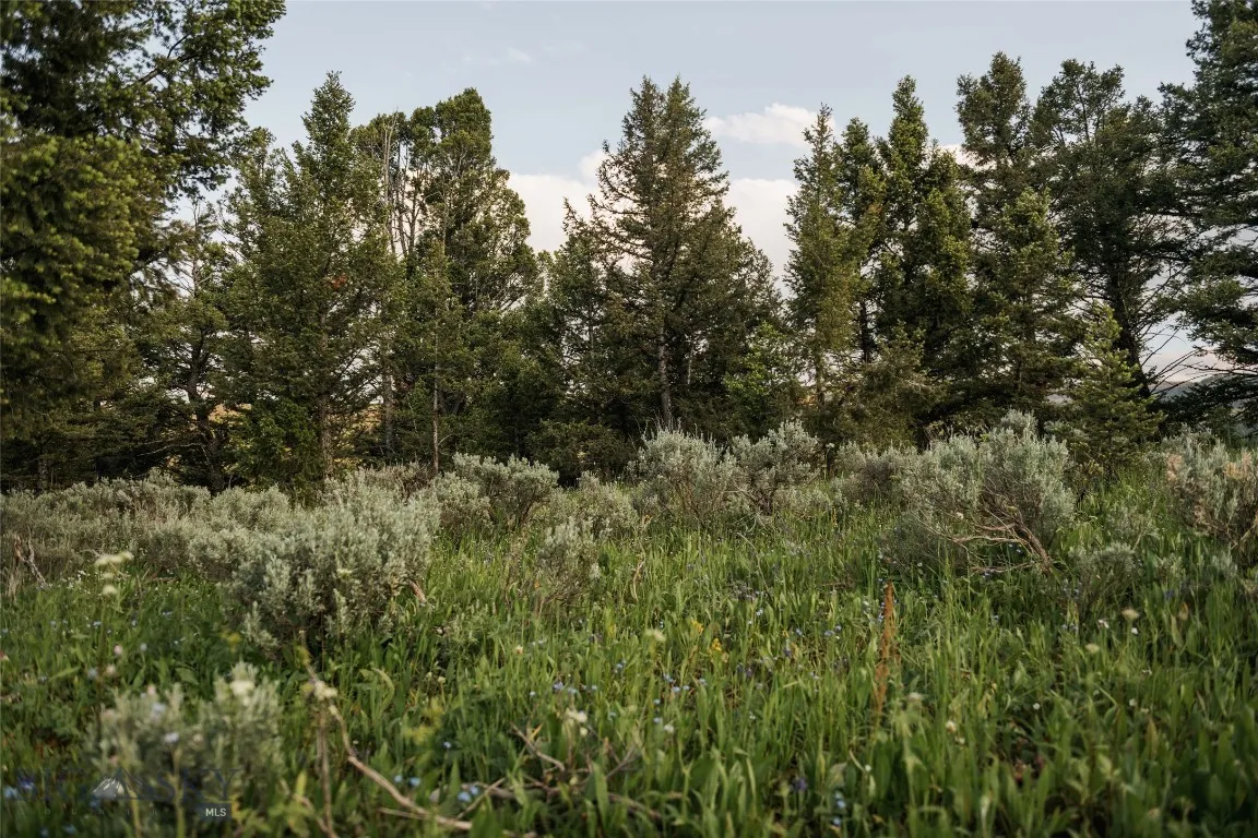 Lot 20 Charles Russell Loop, Big Sky, Montana 5971, Big Sky, Montana 59716, ,Land,For Sale,Lot 20 Charles Russell Loop, Big Sky, Montana 5971,0,404007
