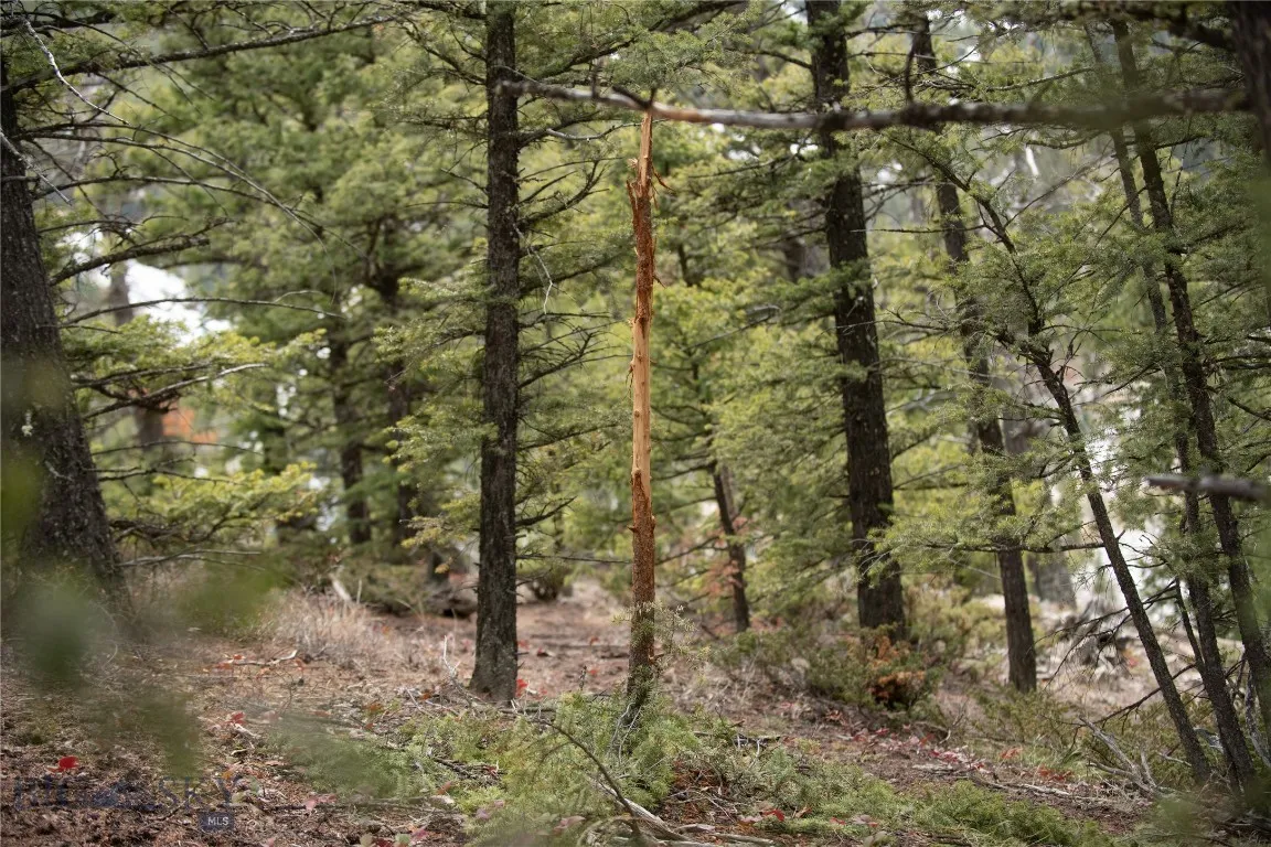 Lot 20 Charles Russell Loop, Big Sky, Montana 5971, Big Sky, Montana 59716, ,Land,For Sale,Lot 20 Charles Russell Loop, Big Sky, Montana 5971,0,404007