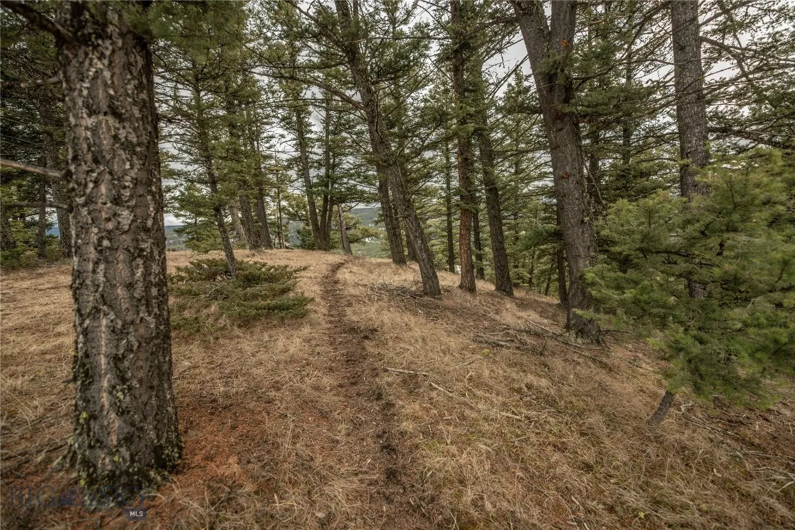 Lot 20 Charles Russell Loop, Big Sky, Montana 5971, Big Sky, Montana 59716, ,Land,For Sale,Lot 20 Charles Russell Loop, Big Sky, Montana 5971,0,404007