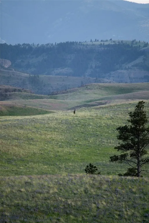 287 Spring Creek Road, Absarokee, Montana 59001, Absarokee, Montana 59001, ,Farm,For Sale,287 Spring Creek Road, Absarokee, Montana 59001,404032