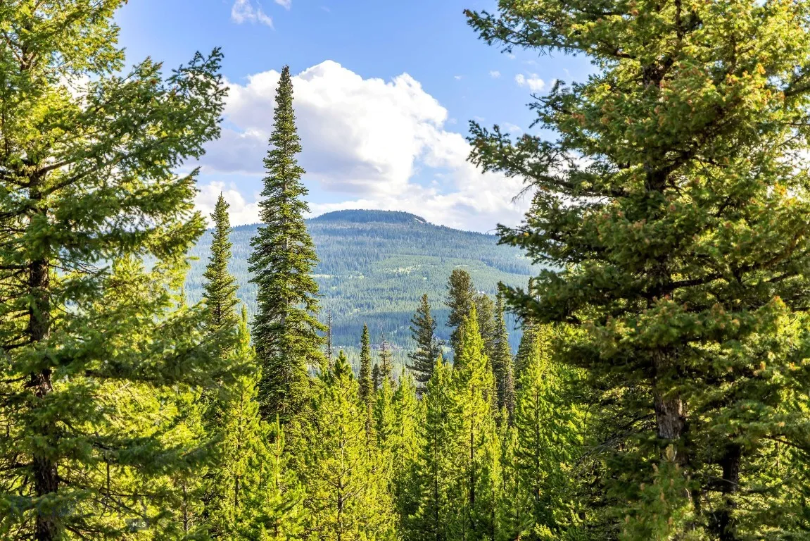 Lot 1 Wheatgrass Meadows, Big Sky, Montana 59716, Big Sky, Montana 59716, ,Land,For Sale,Lot 1 Wheatgrass Meadows, Big Sky, Montana 59716,0,403900