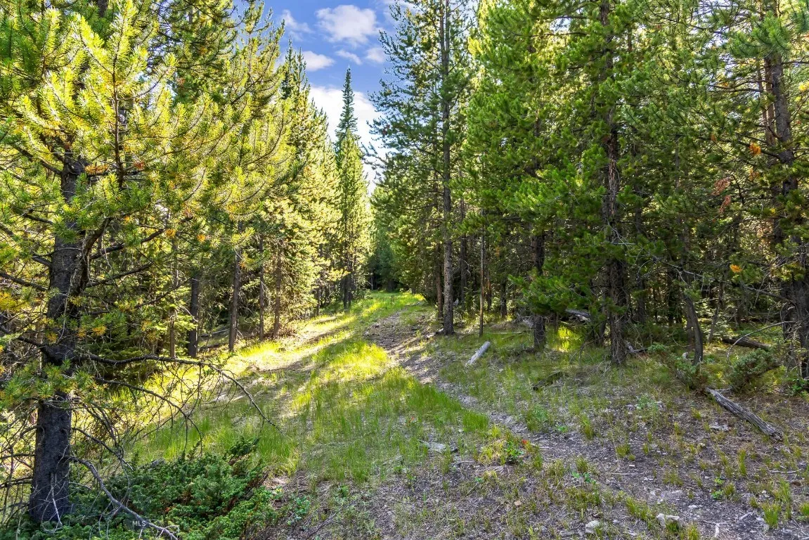 Lot 1 Wheatgrass Meadows, Big Sky, Montana 59716, Big Sky, Montana 59716, ,Land,For Sale,Lot 1 Wheatgrass Meadows, Big Sky, Montana 59716,0,403900