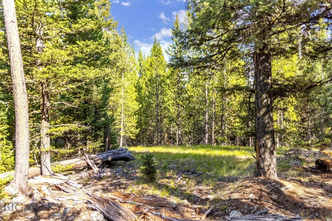 Lot 1 Wheatgrass Meadows, Big Sky, Montana 59716, Big Sky, Montana 59716, ,Land,For Sale,Lot 1 Wheatgrass Meadows, Big Sky, Montana 59716,0,403900
