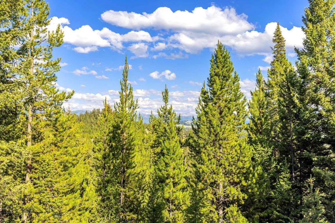 Lot 1 Wheatgrass Meadows, Big Sky, Montana 59716, Big Sky, Montana 59716, ,Land,For Sale,Lot 1 Wheatgrass Meadows, Big Sky, Montana 59716,0,403900