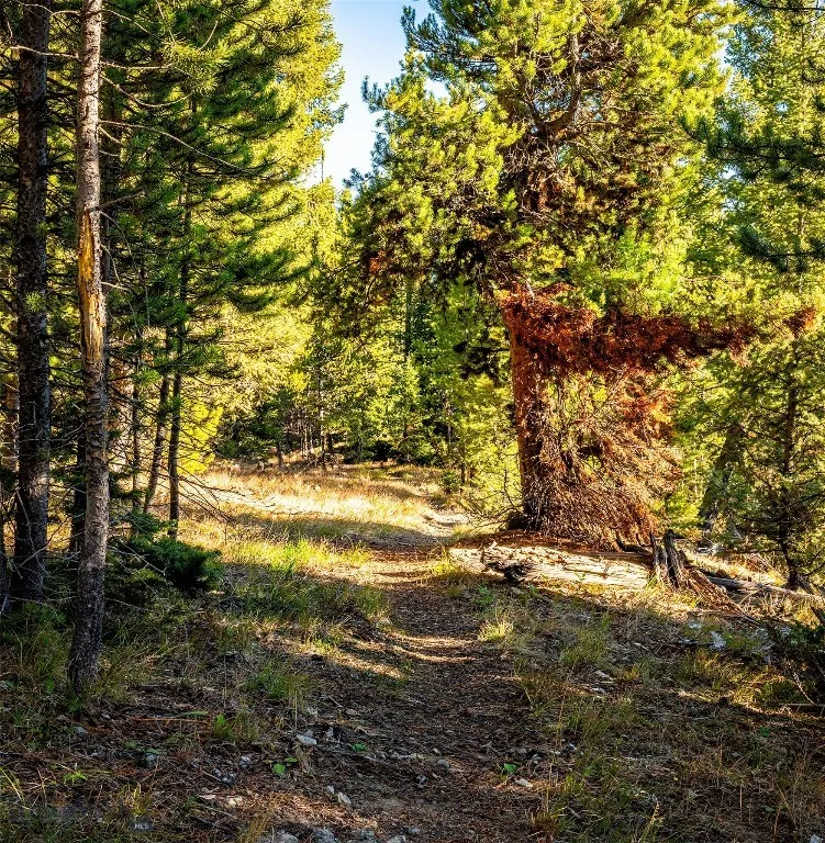 Lot 1 Wheatgrass Meadows, Big Sky, Montana 59716, Big Sky, Montana 59716, ,Land,For Sale,Lot 1 Wheatgrass Meadows, Big Sky, Montana 59716,0,403900