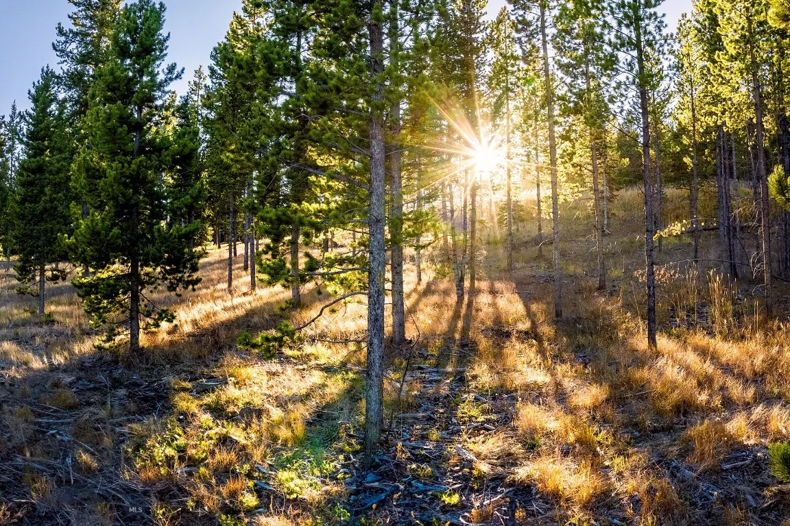 Lot 1 Wheatgrass Meadows, Big Sky, Montana 59716, Big Sky, Montana 59716, ,Land,For Sale,Lot 1 Wheatgrass Meadows, Big Sky, Montana 59716,0,403900