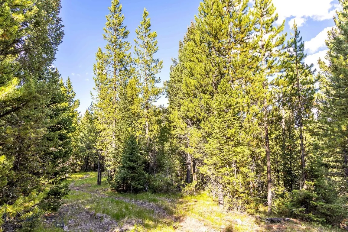 Lot 1 Wheatgrass Meadows, Big Sky, Montana 59716, Big Sky, Montana 59716, ,Land,For Sale,Lot 1 Wheatgrass Meadows, Big Sky, Montana 59716,0,403900