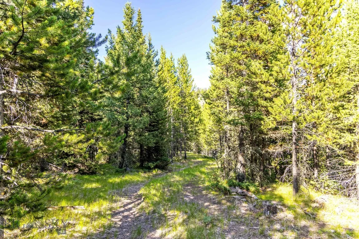 Lot 1 Wheatgrass Meadows, Big Sky, Montana 59716, Big Sky, Montana 59716, ,Land,For Sale,Lot 1 Wheatgrass Meadows, Big Sky, Montana 59716,0,403900