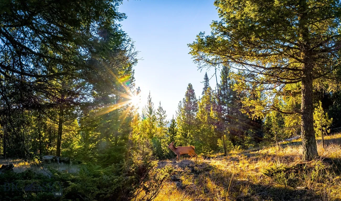 Lot 1 Wheatgrass Meadows, Big Sky, Montana 59716, Big Sky, Montana 59716, ,Land,For Sale,Lot 1 Wheatgrass Meadows, Big Sky, Montana 59716,0,403900