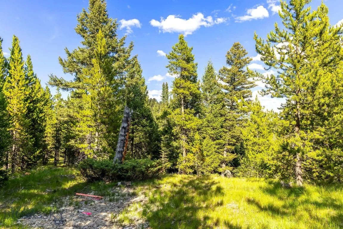 Lot 2 Wheatgrass Meadows, Big Sky, Montana 59716, Big Sky, Montana 59716, ,Land,For Sale,Lot 2 Wheatgrass Meadows, Big Sky, Montana 59716,0,403901