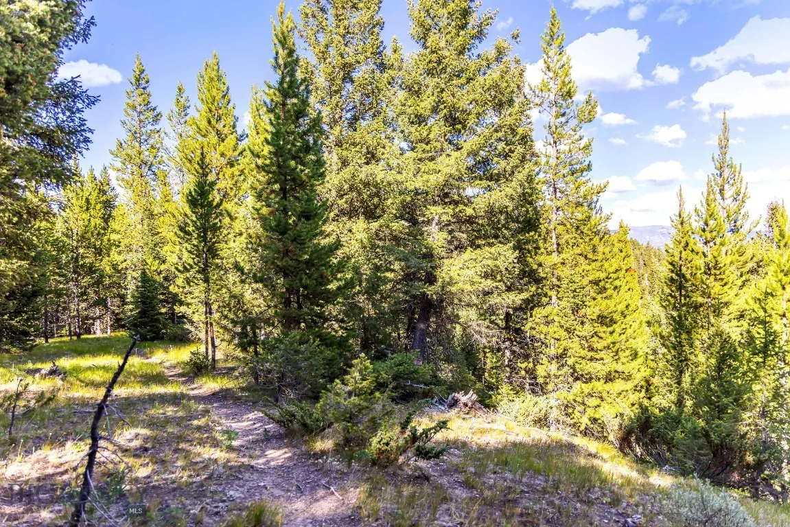 Lot 2 Wheatgrass Meadows, Big Sky, Montana 59716, Big Sky, Montana 59716, ,Land,For Sale,Lot 2 Wheatgrass Meadows, Big Sky, Montana 59716,0,403901