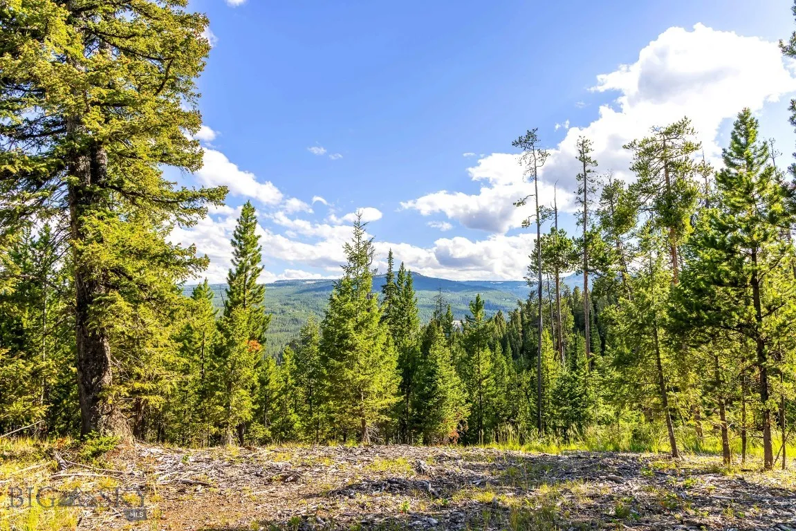 Lot 2 Wheatgrass Meadows, Big Sky, Montana 59716, Big Sky, Montana 59716, ,Land,For Sale,Lot 2 Wheatgrass Meadows, Big Sky, Montana 59716,0,403901